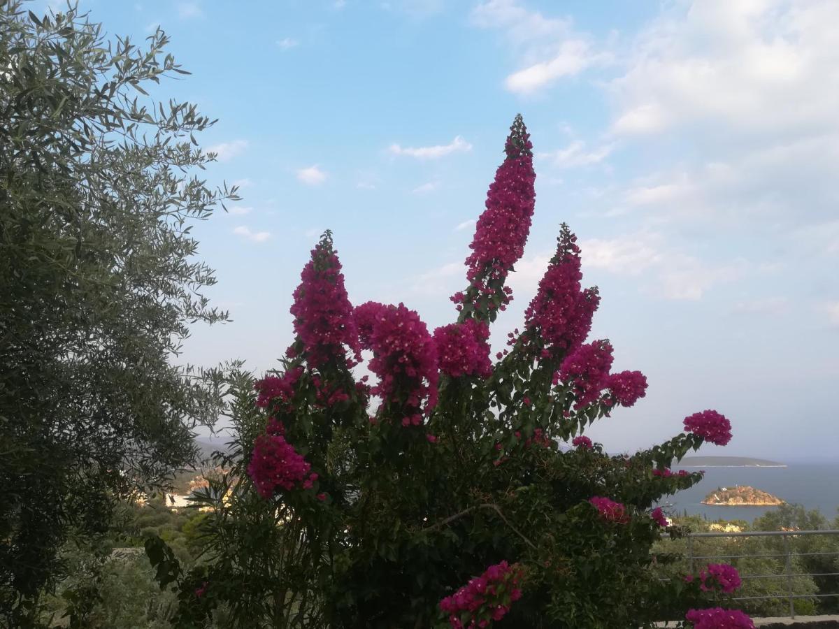 Villa Πέτρα, Ελιά Και Λεβάντα Tolón Esterno foto
