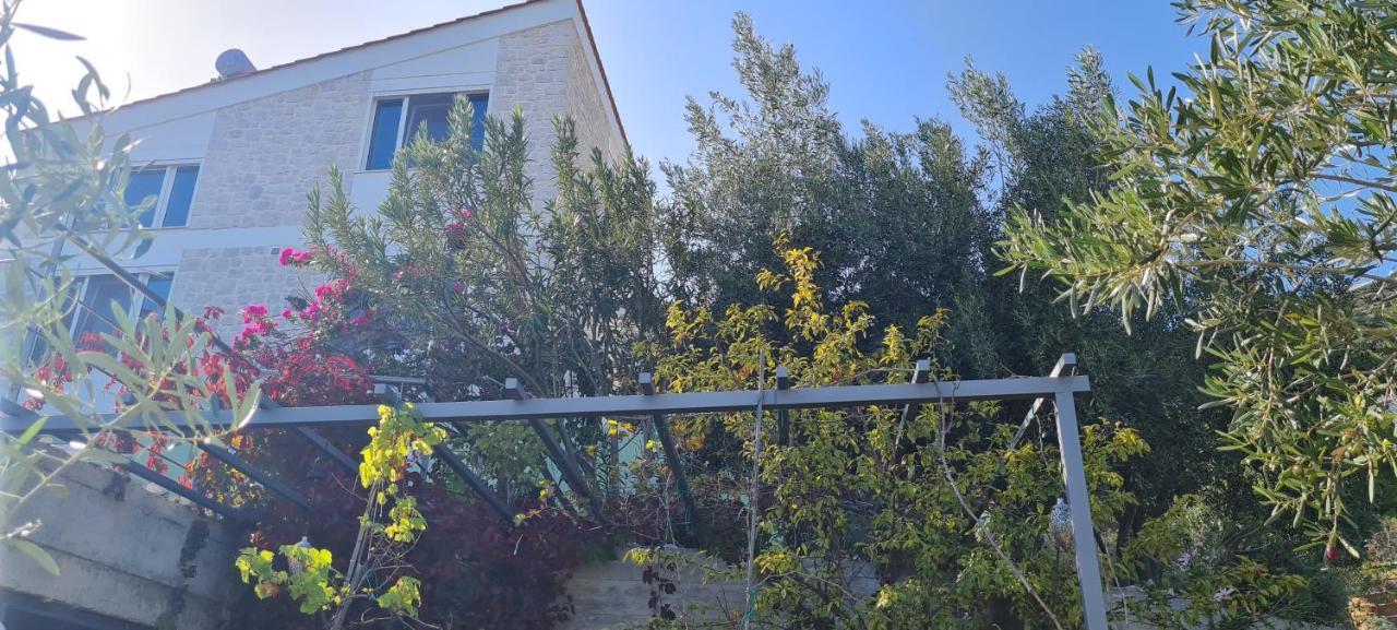 Villa Πέτρα, Ελιά Και Λεβάντα Tolón Esterno foto
