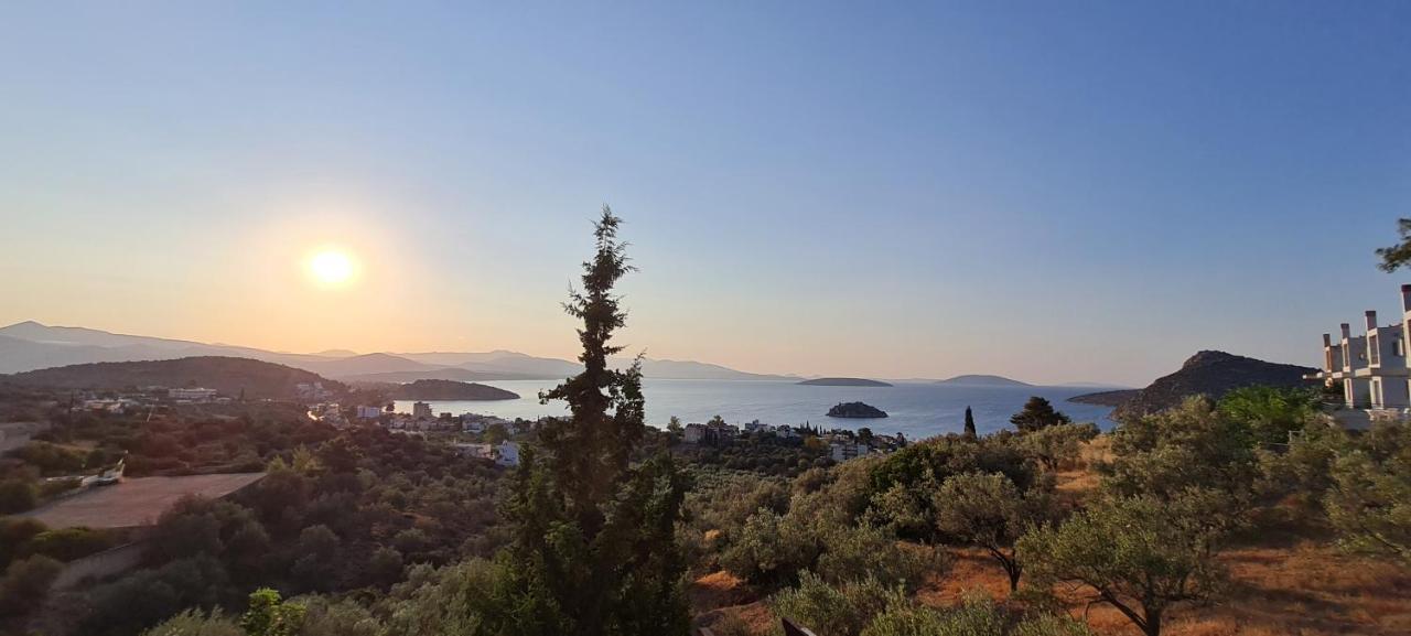 Villa Πέτρα, Ελιά Και Λεβάντα Tolón Esterno foto