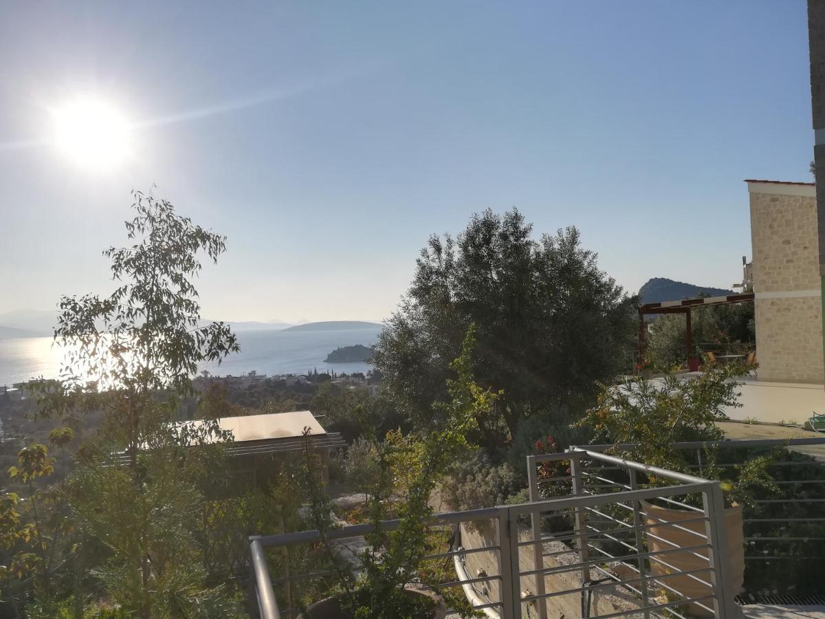 Villa Πέτρα, Ελιά Και Λεβάντα Tolón Esterno foto