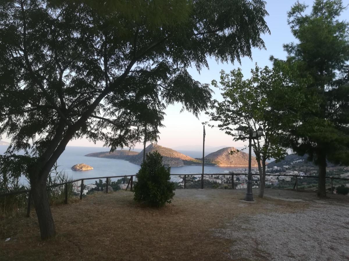 Villa Πέτρα, Ελιά Και Λεβάντα Tolón Esterno foto