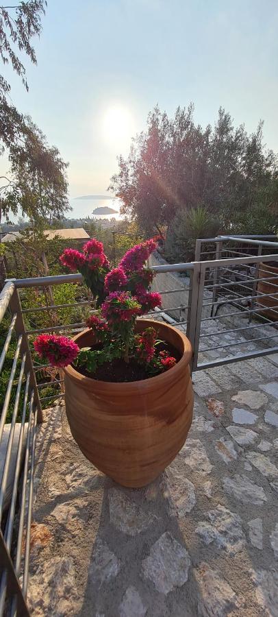 Villa Πέτρα, Ελιά Και Λεβάντα Tolón Esterno foto