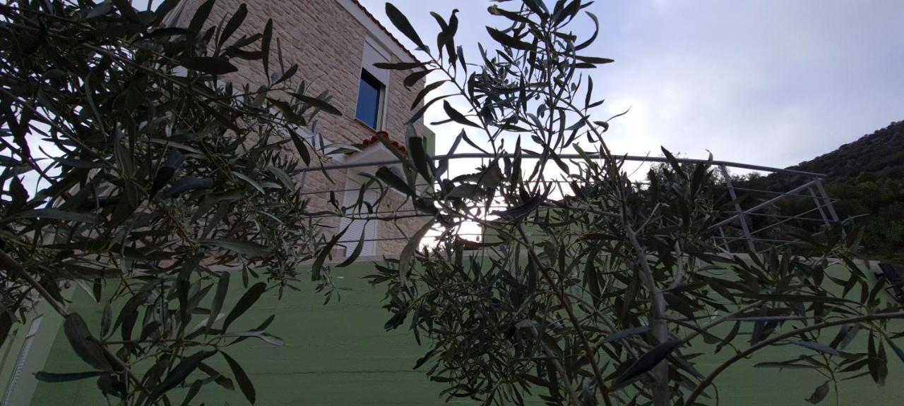 Villa Πέτρα, Ελιά Και Λεβάντα Tolón Esterno foto