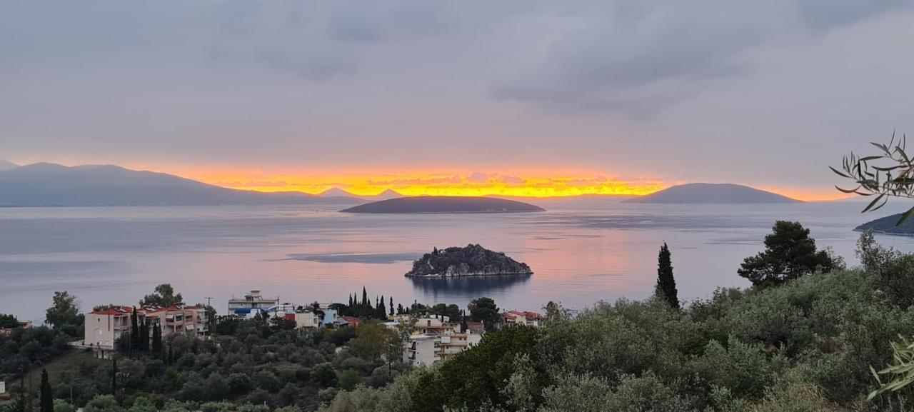 Villa Πέτρα, Ελιά Και Λεβάντα Tolón Esterno foto