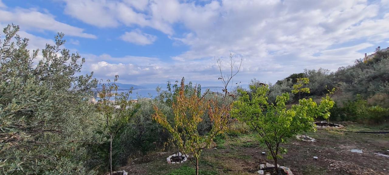 Villa Πέτρα, Ελιά Και Λεβάντα Tolón Esterno foto
